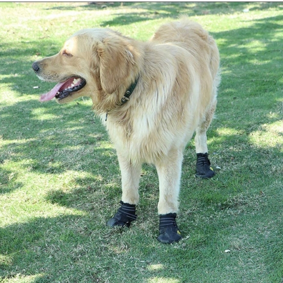 Pet Boots, 2.9" x 2.5", Outdoor Waterproof and Wearproof Running Shoes NEW - Picture 4 of 6